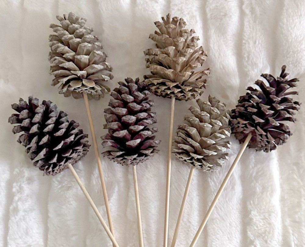 6 Pinecones on Sticks for Decor or Painting Bleached & Natural